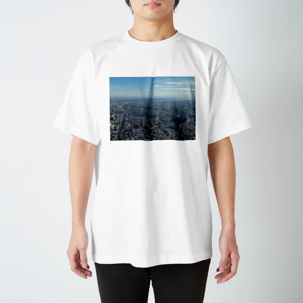 空飛ぶモモンガの東京にて Regular Fit T-Shirt