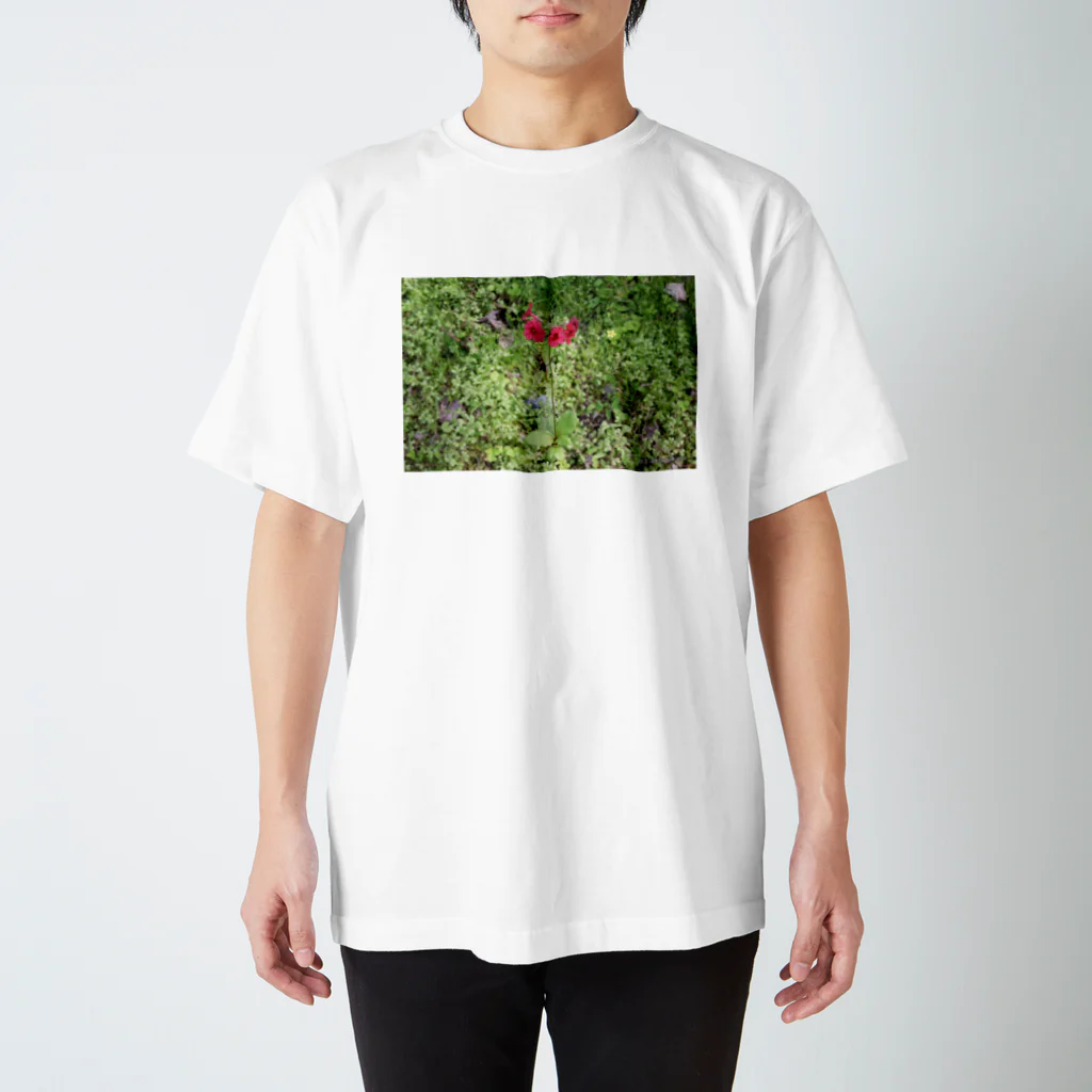 Aiko Nakanoの桜草 スタンダードTシャツ