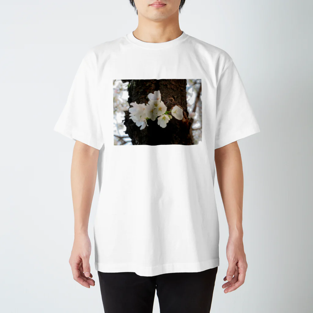 愛自然写真の桜(アップ) Regular Fit T-Shirt