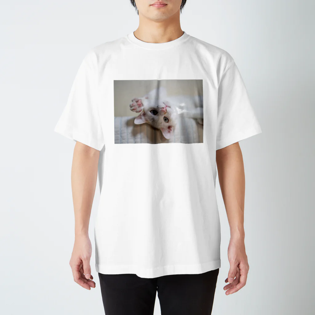 ひいらぎ たえの招き猫 珀ちゃん スタンダードTシャツ