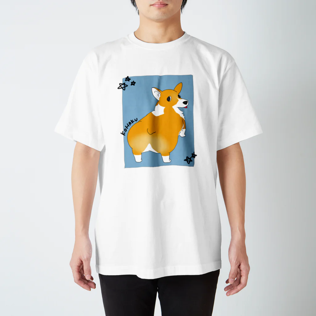 真空のコハク スタンダードTシャツ