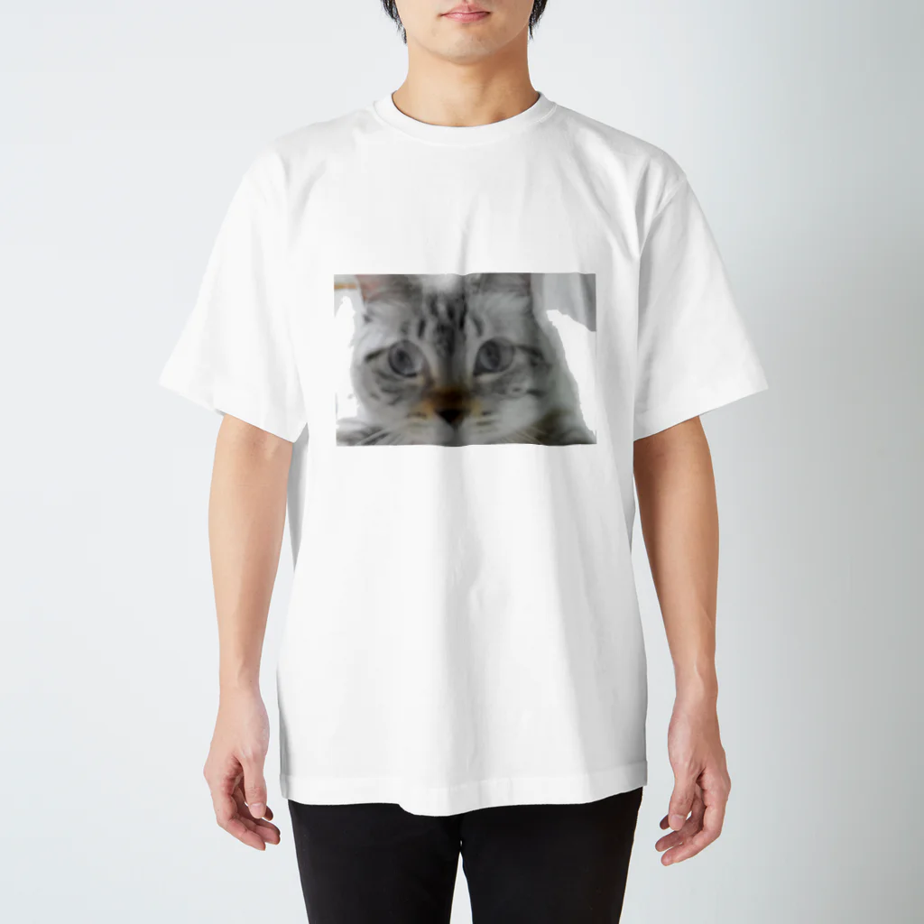 (羊虎魂)の猫・ぶれぶれ スタンダードTシャツ