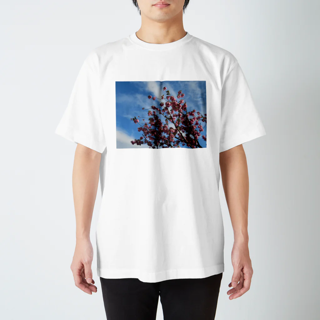 愛自然写真の桜と空と雲 スタンダードTシャツ