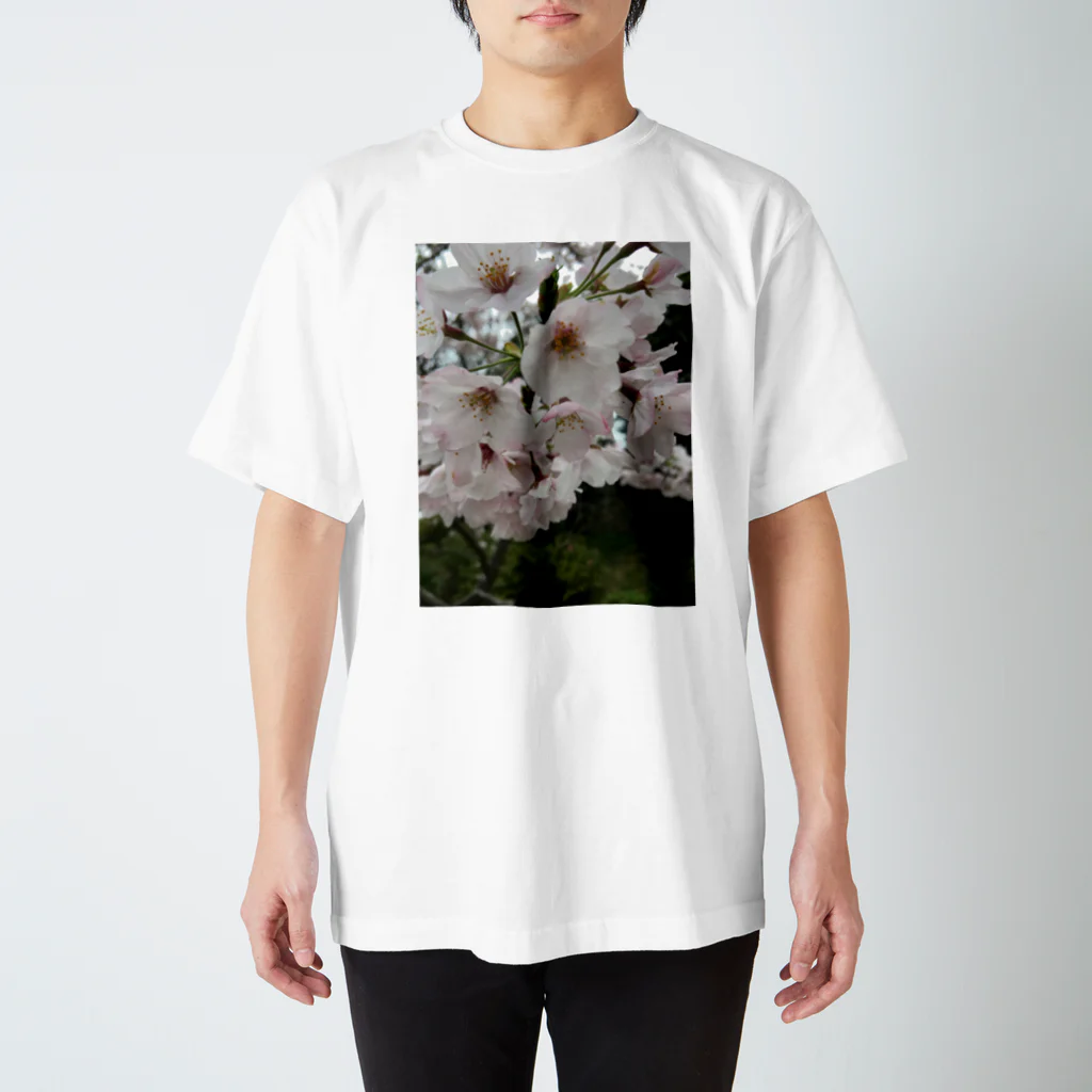 ymの桜 Regular Fit T-Shirt