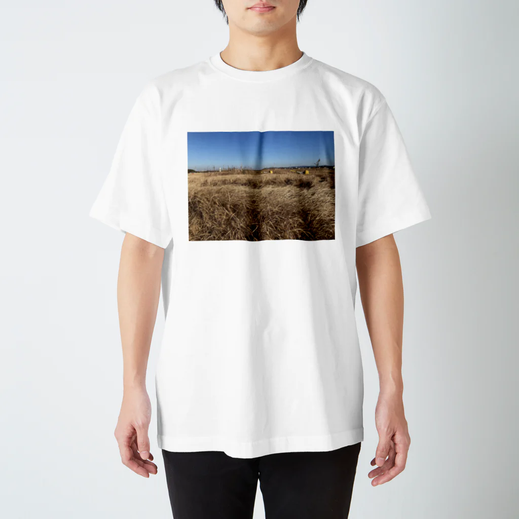 🧫の茶色い草の空き地 スタンダードTシャツ