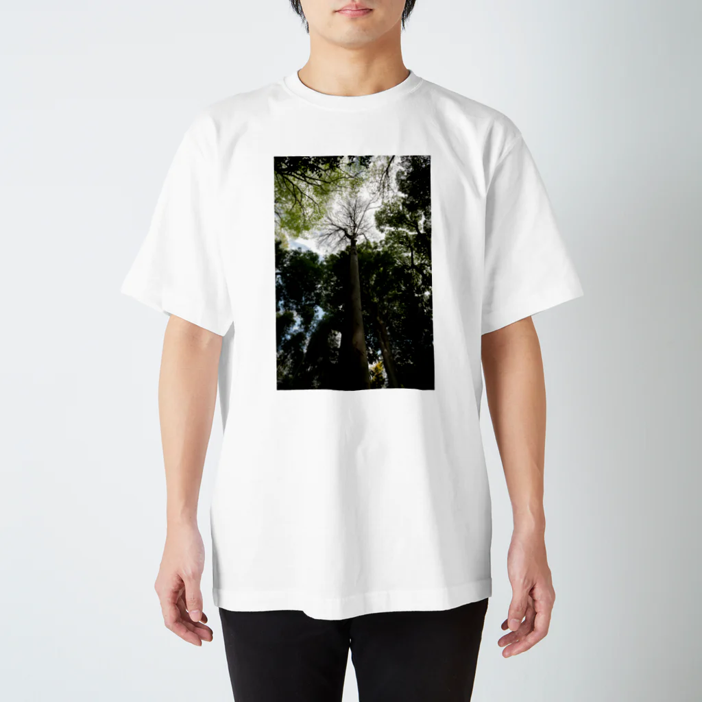 treeseekの見上げればTシャツ Regular Fit T-Shirt