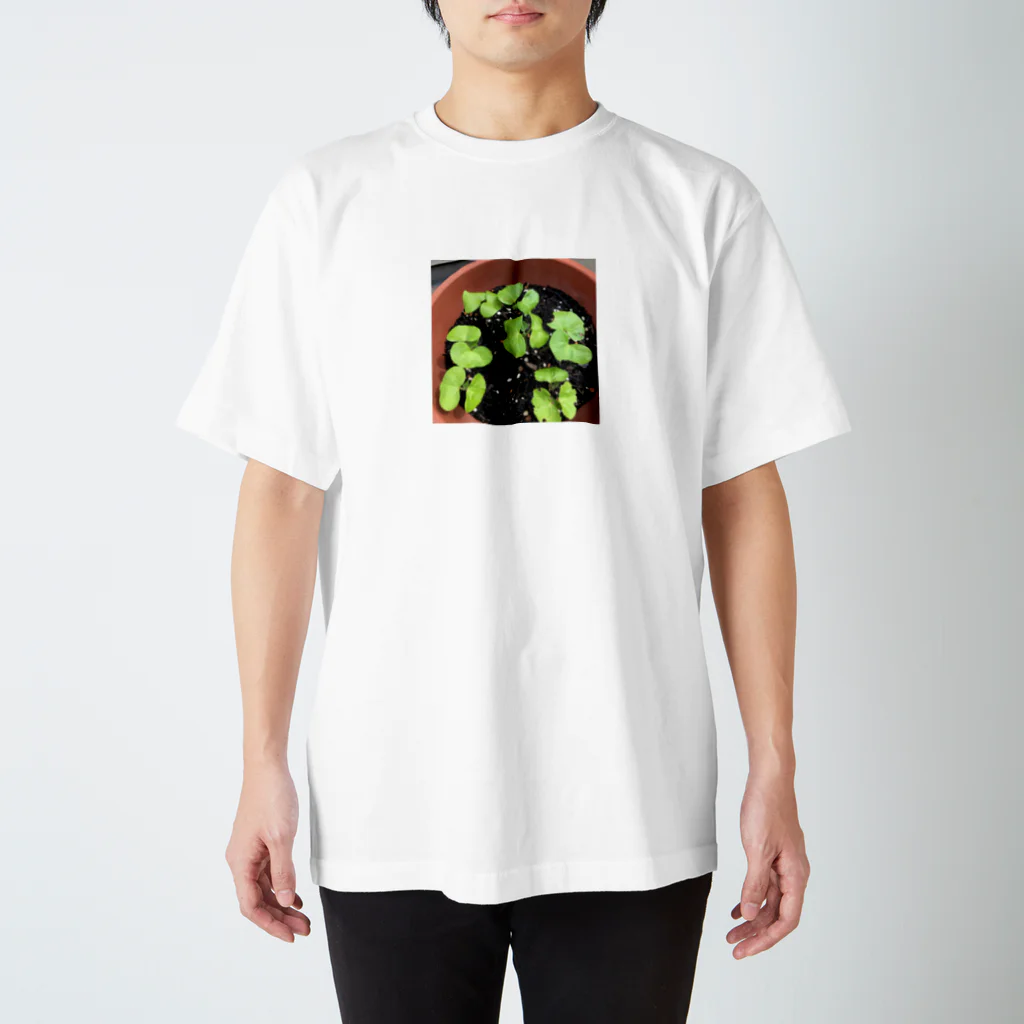 やぁらかいはっぱの芽が出たよ Regular Fit T-Shirt