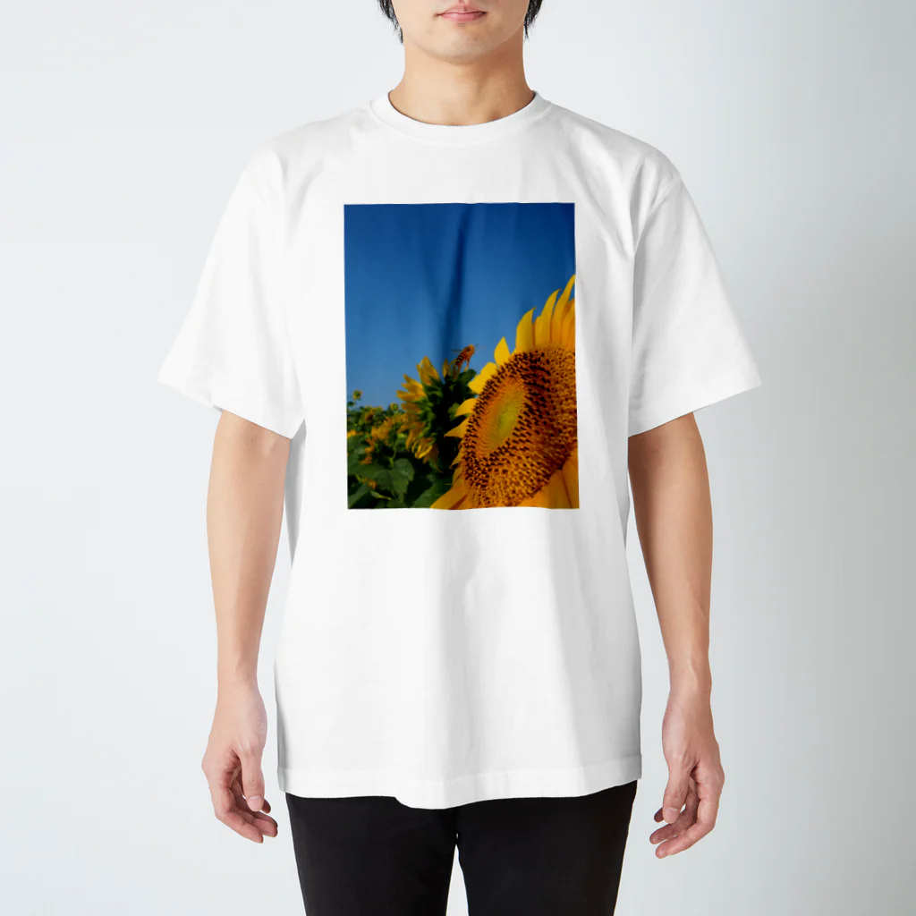 kaimoiの夏色太陽 Regular Fit T-Shirt