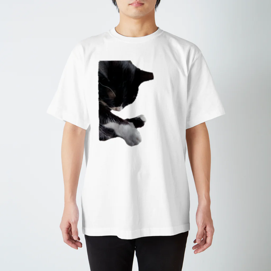 ナオンなおなおのおててを楽しむための眠り猫 スタンダードTシャツ