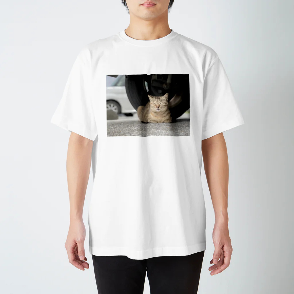 shirado_kazukiの猫のひとやすみ スタンダードTシャツ