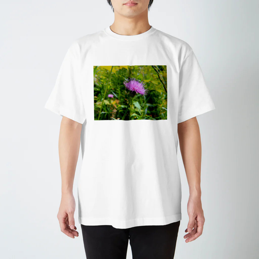 あかりょ〜ちゃんの購入者の方に花の名前教えて貰いたいTシャツ スタンダードTシャツ