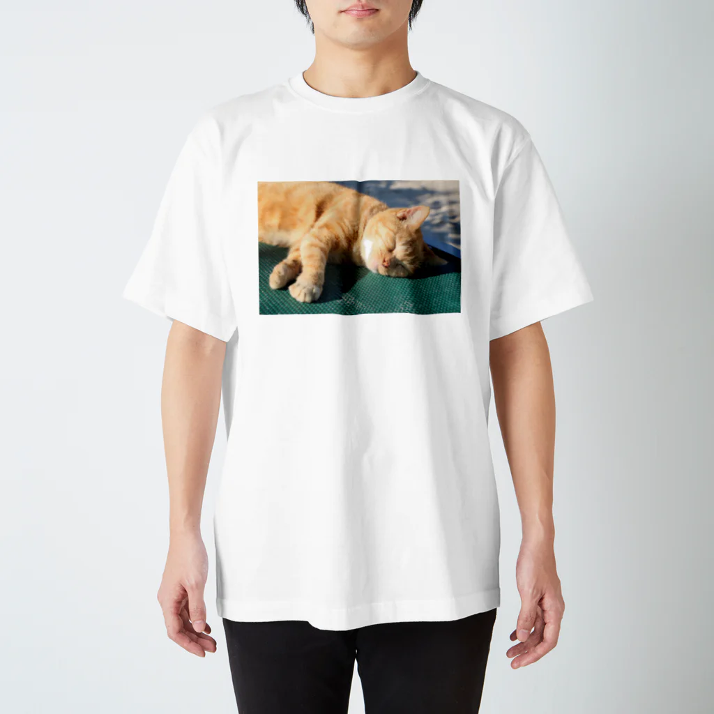 AI生成画像・風景・小物の写真をグッズにしてみましたのおやすみ中のにゃんこ Regular Fit T-Shirt