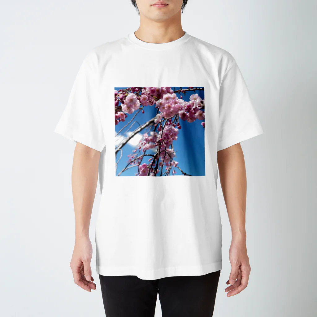 金欠ちゃんの桜！ Regular Fit T-Shirt
