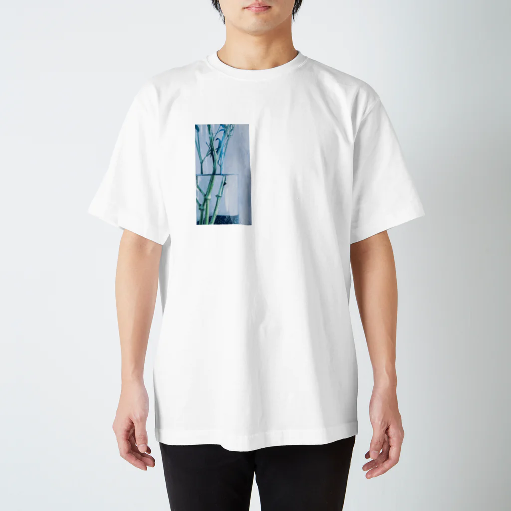 なにげに光の茎と屈折 スタンダードTシャツ