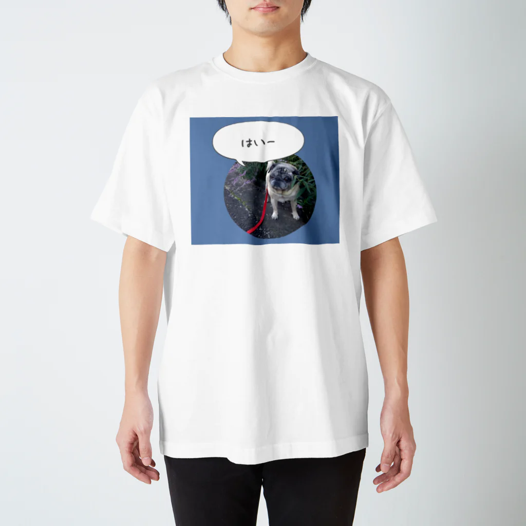 ！(bikkuri)の愛犬てぃだ　「はいー」 スタンダードTシャツ