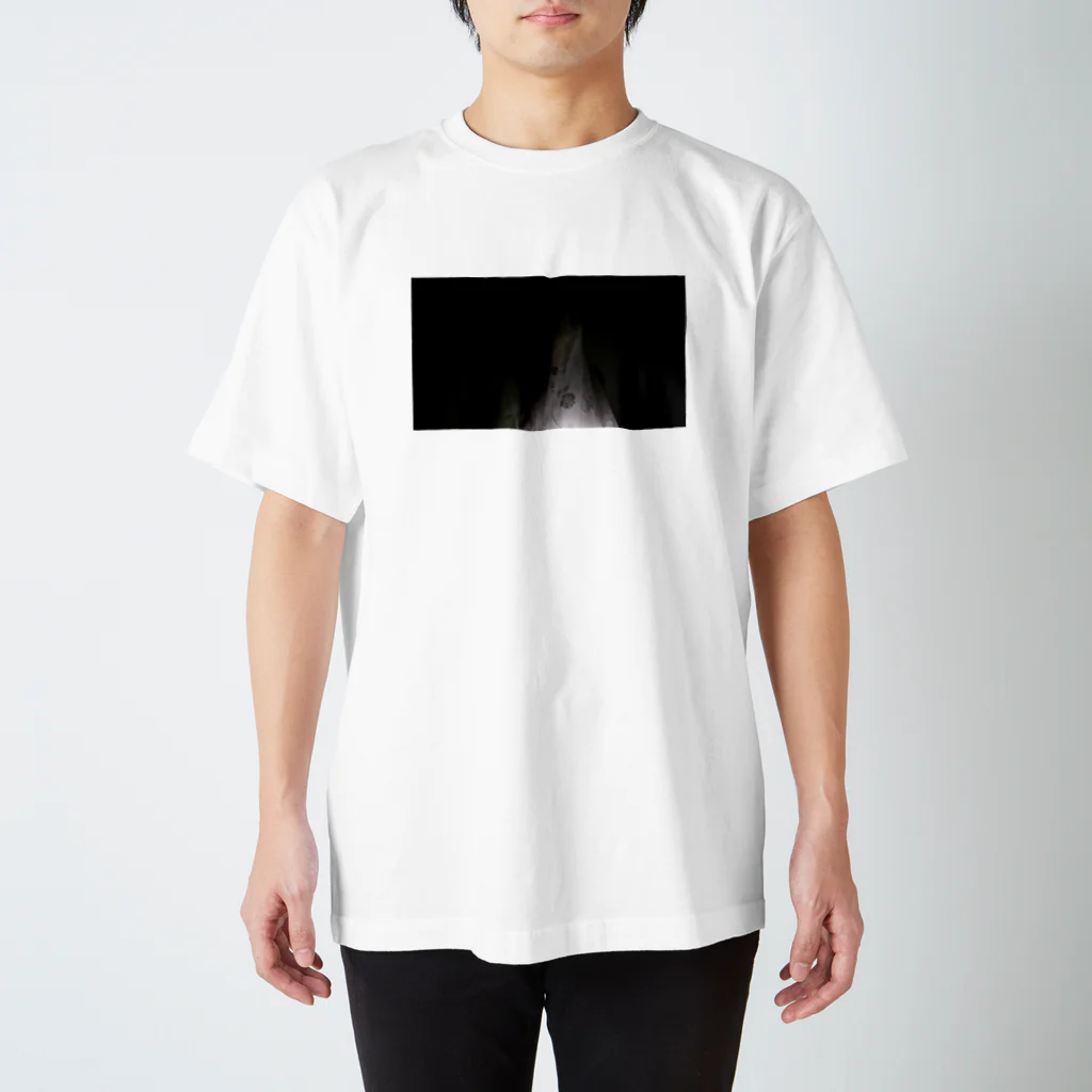 storageの鬱っぽい感じ Regular Fit T-Shirt