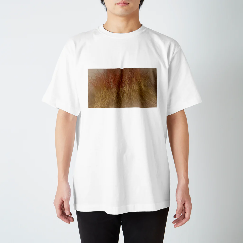 吾妻のぶりーちくん Regular Fit T-Shirt