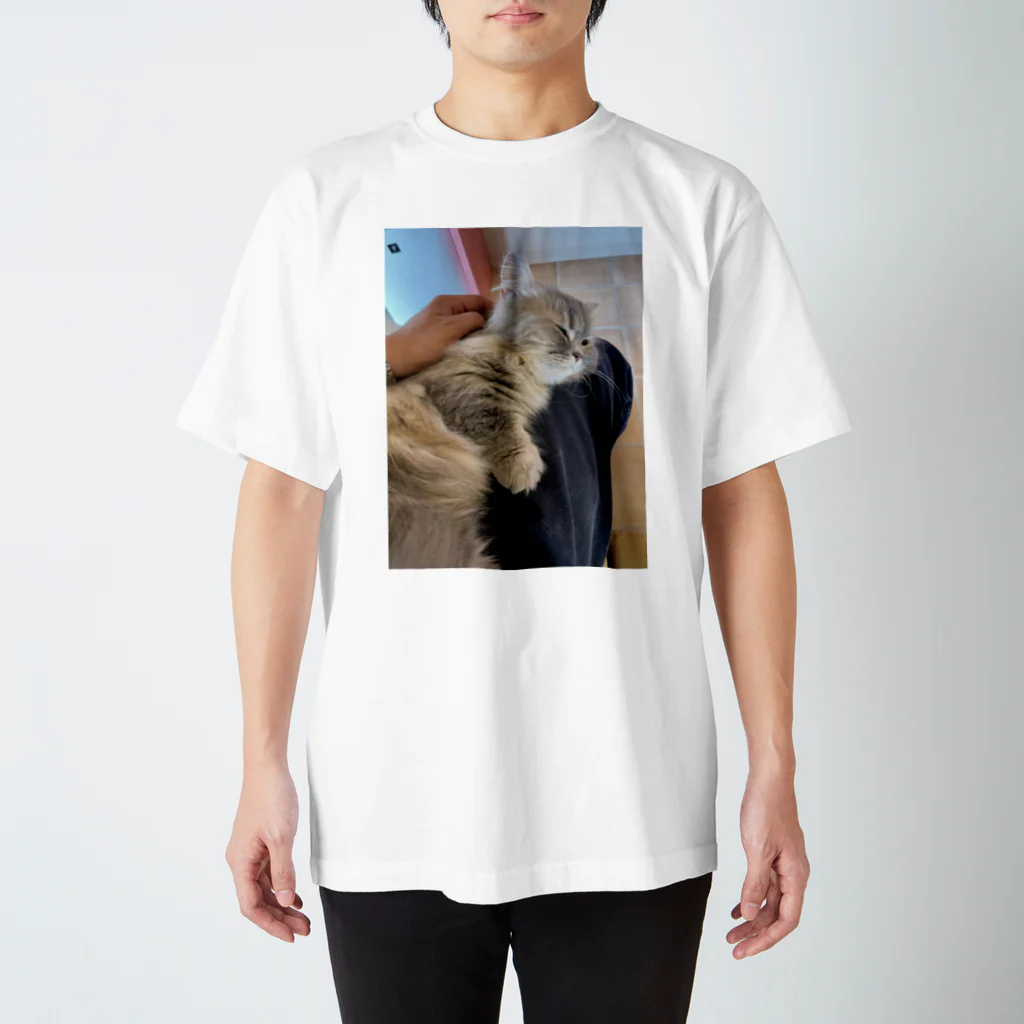 memoriesのCat Regular Fit T-Shirt