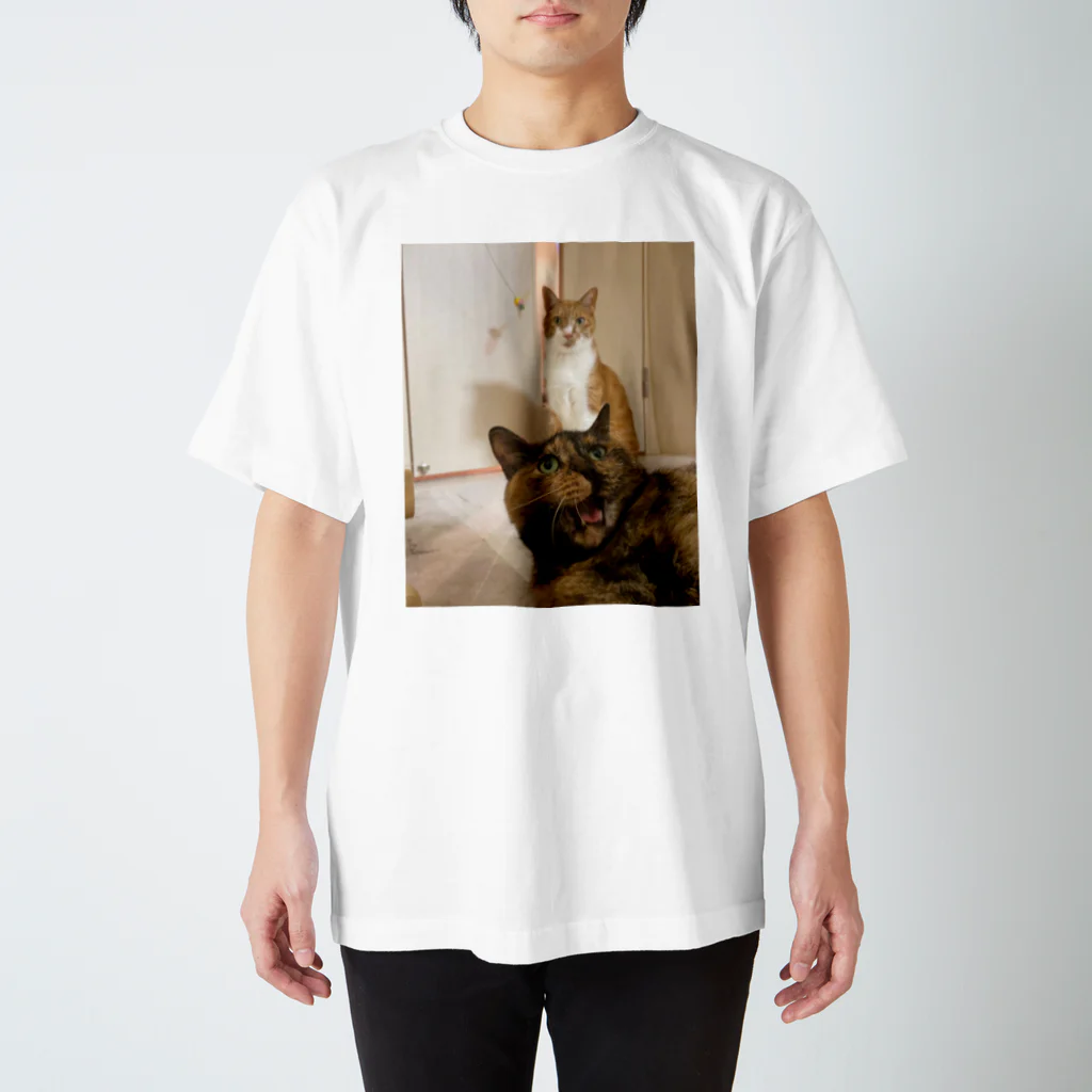 愛猫のグッズが欲しいのバレンシアガよりうちの猫では？ スタンダードTシャツ