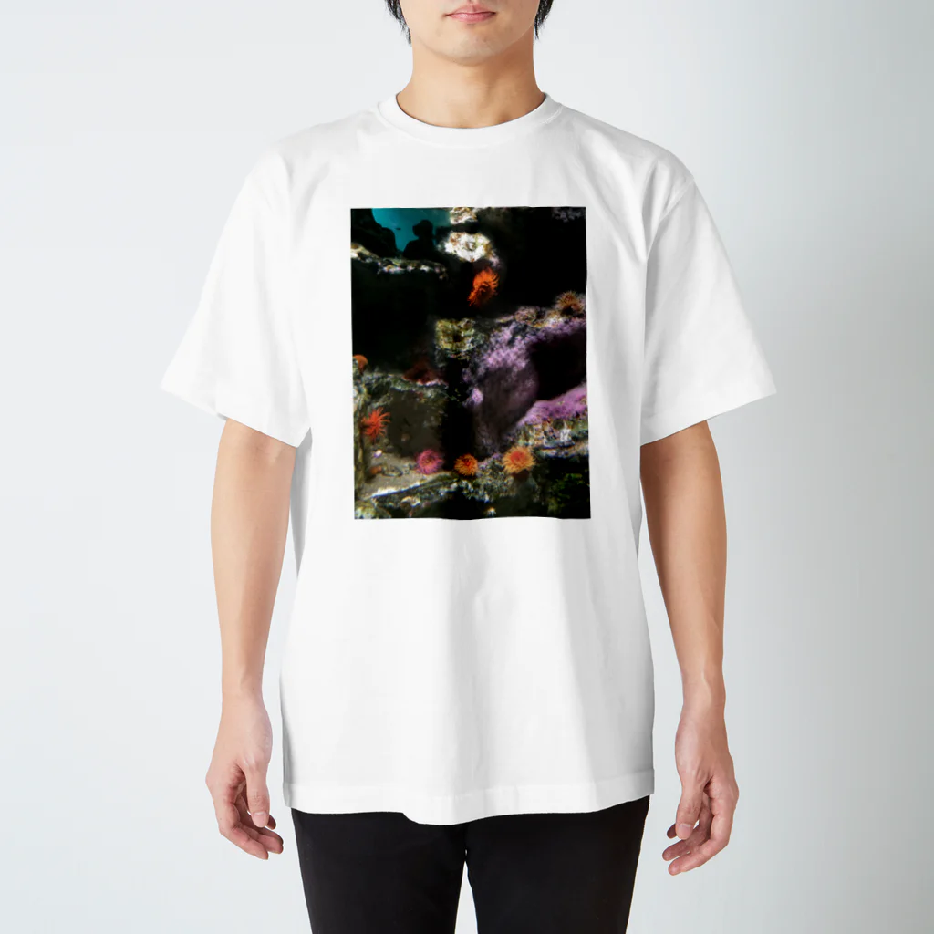 vwvwvwvvwvwwの臨海 スタンダードTシャツ