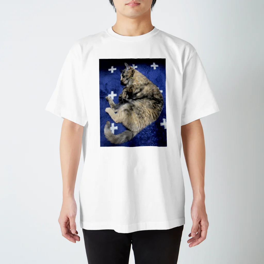 おぬしちゃんの地上に落ちたサビ猫 Regular Fit T-Shirt