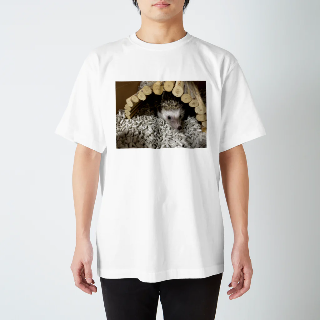 ハリネズミのむーちゃん Regular Fit T-Shirt