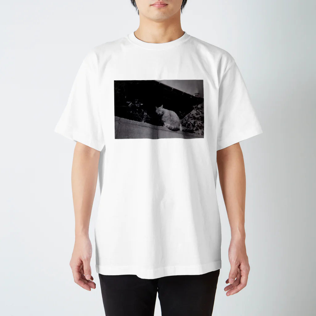 まるぼ写真館のニャンです？ スタンダードTシャツ