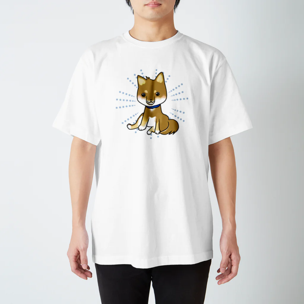 幻獣ドロップの茶太郎 スタンダードTシャツ