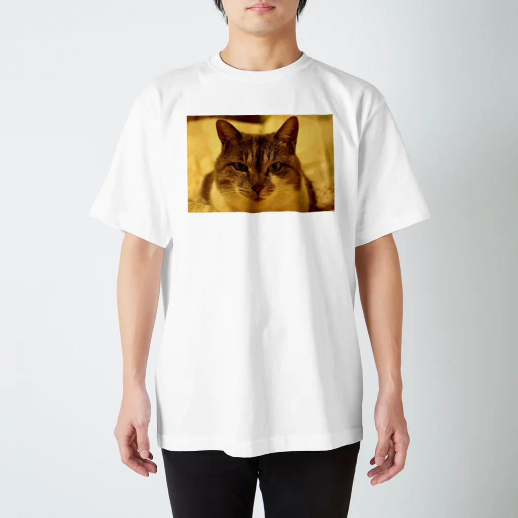 upafishのCat スクラッチフォト風 Regular Fit T-Shirt