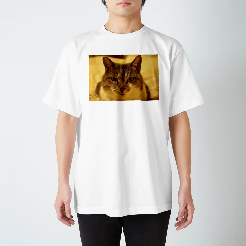 upafishのCat スクラッチフォト風 スタンダードTシャツ