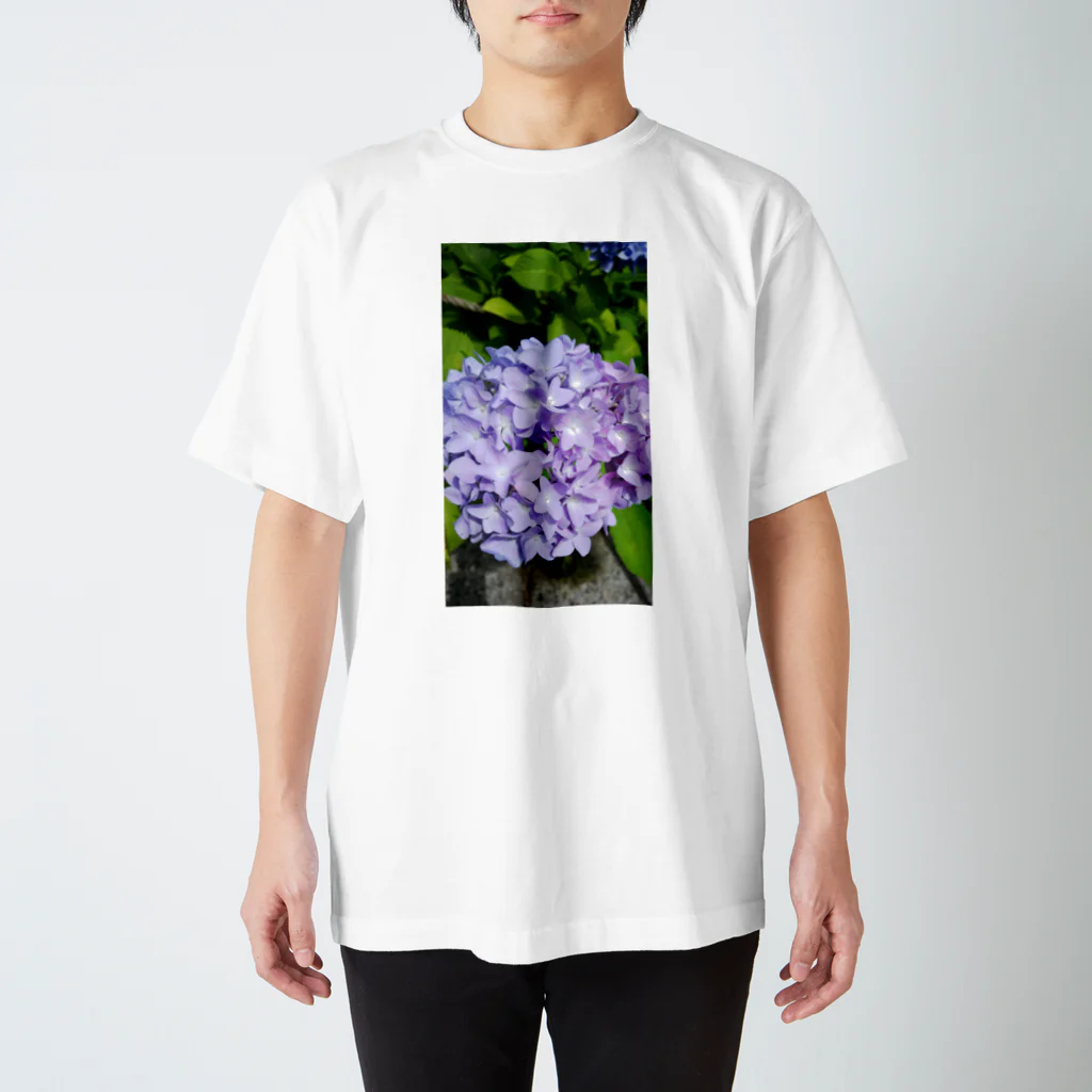harupink🌸ペット似顔絵illustのパステルパープルな紫陽花 スタンダードTシャツ