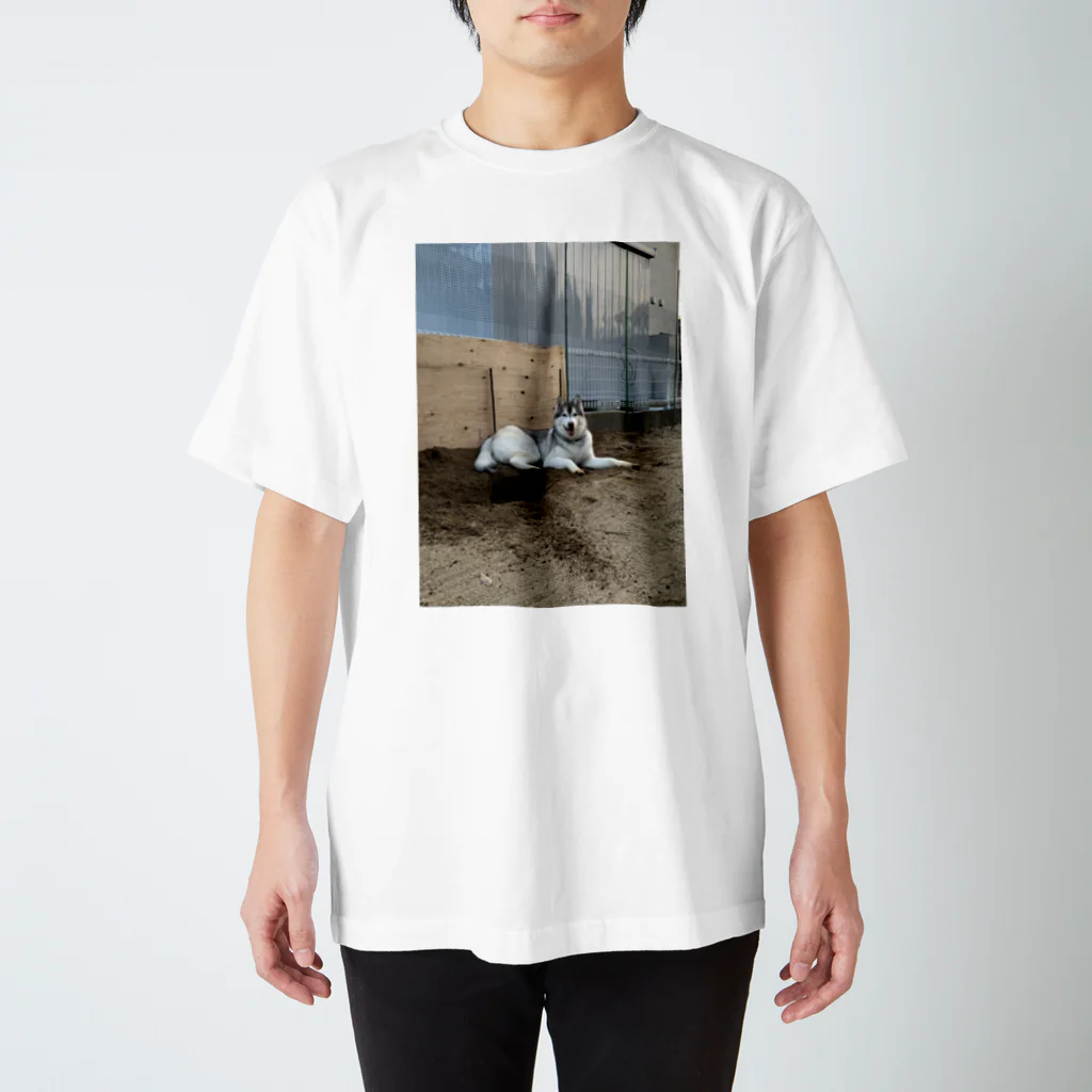 ブティックこてつの庭に穴を掘ったこてつ Regular Fit T-Shirt