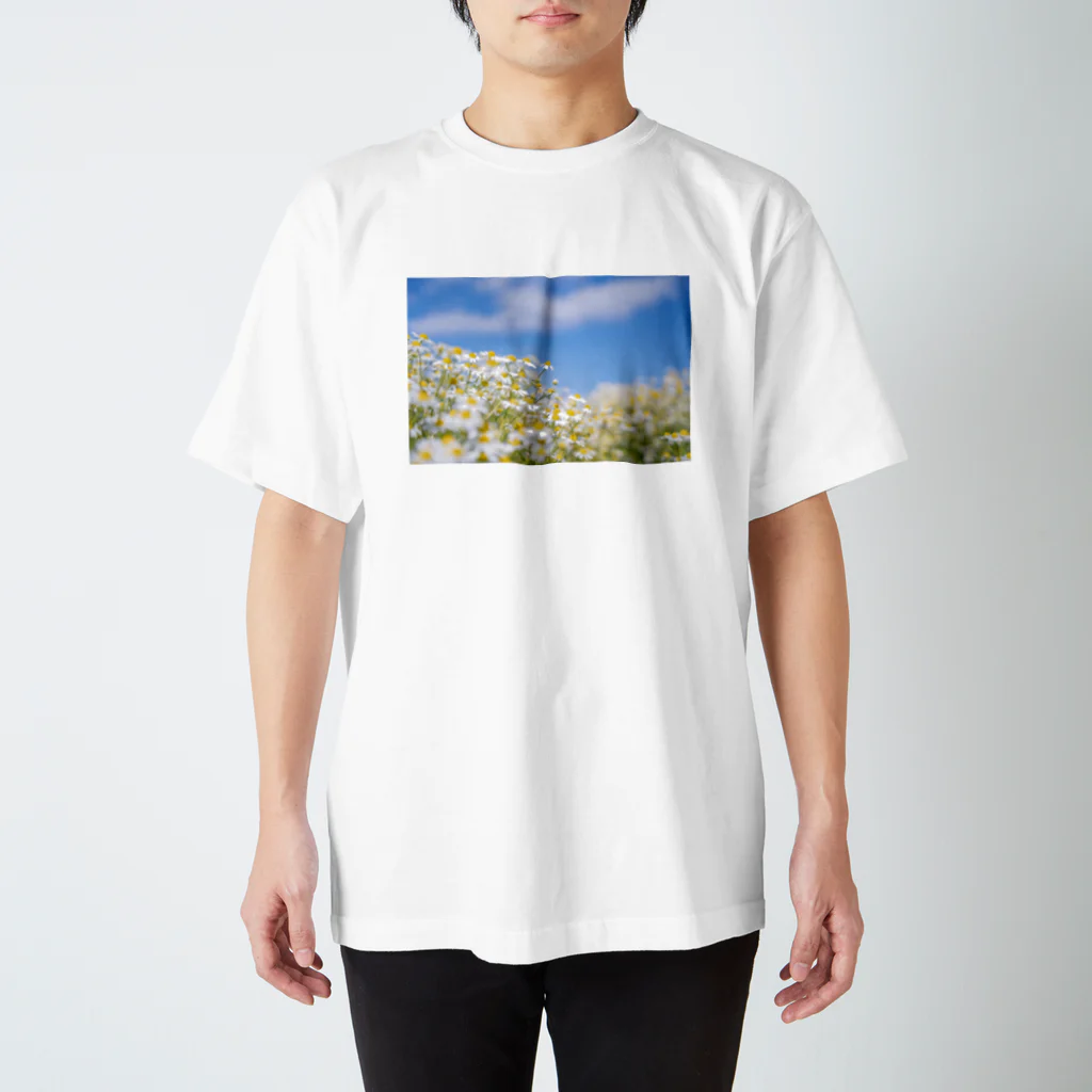 takashikickのカモミールと青空 スタンダードTシャツ