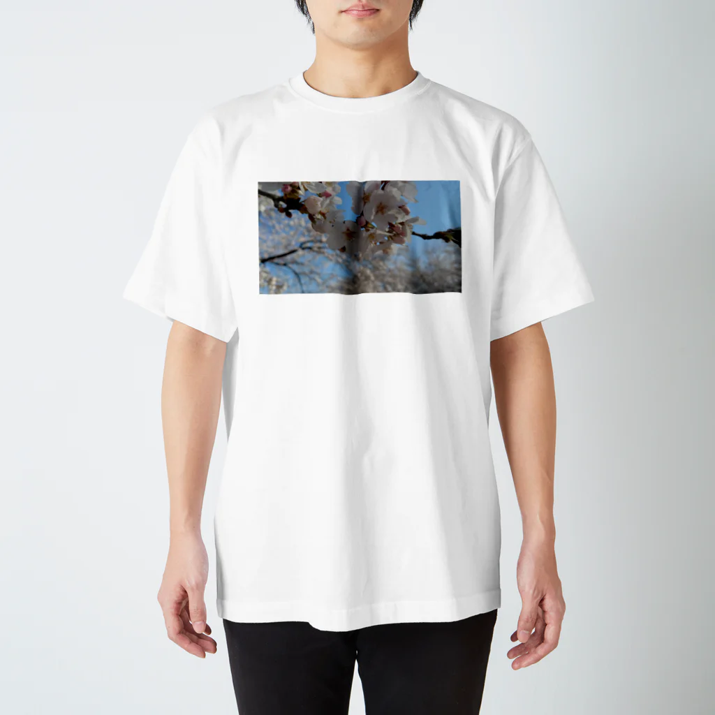 ももたんの桜 Regular Fit T-Shirt