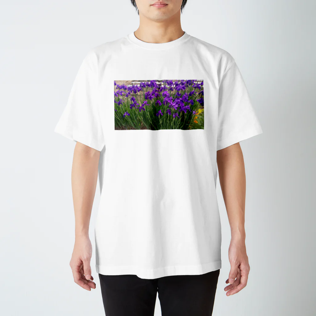 ももたんのスイセン Regular Fit T-Shirt