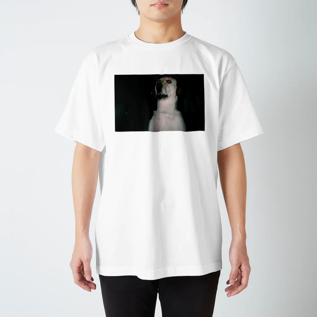 onigirigiriの犬 スタンダードTシャツ