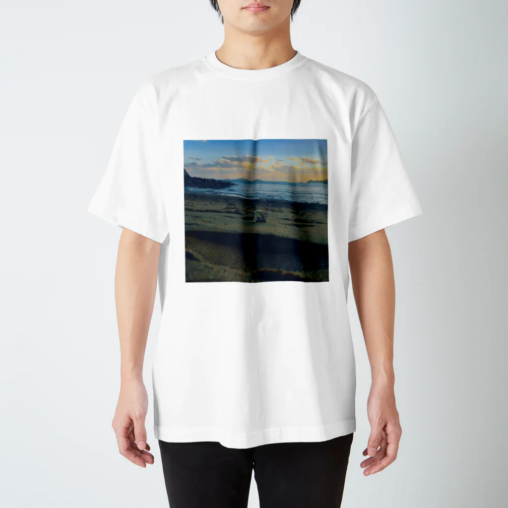 ケンタウルスの露のフォトデザイン(海辺) スタンダードTシャツ