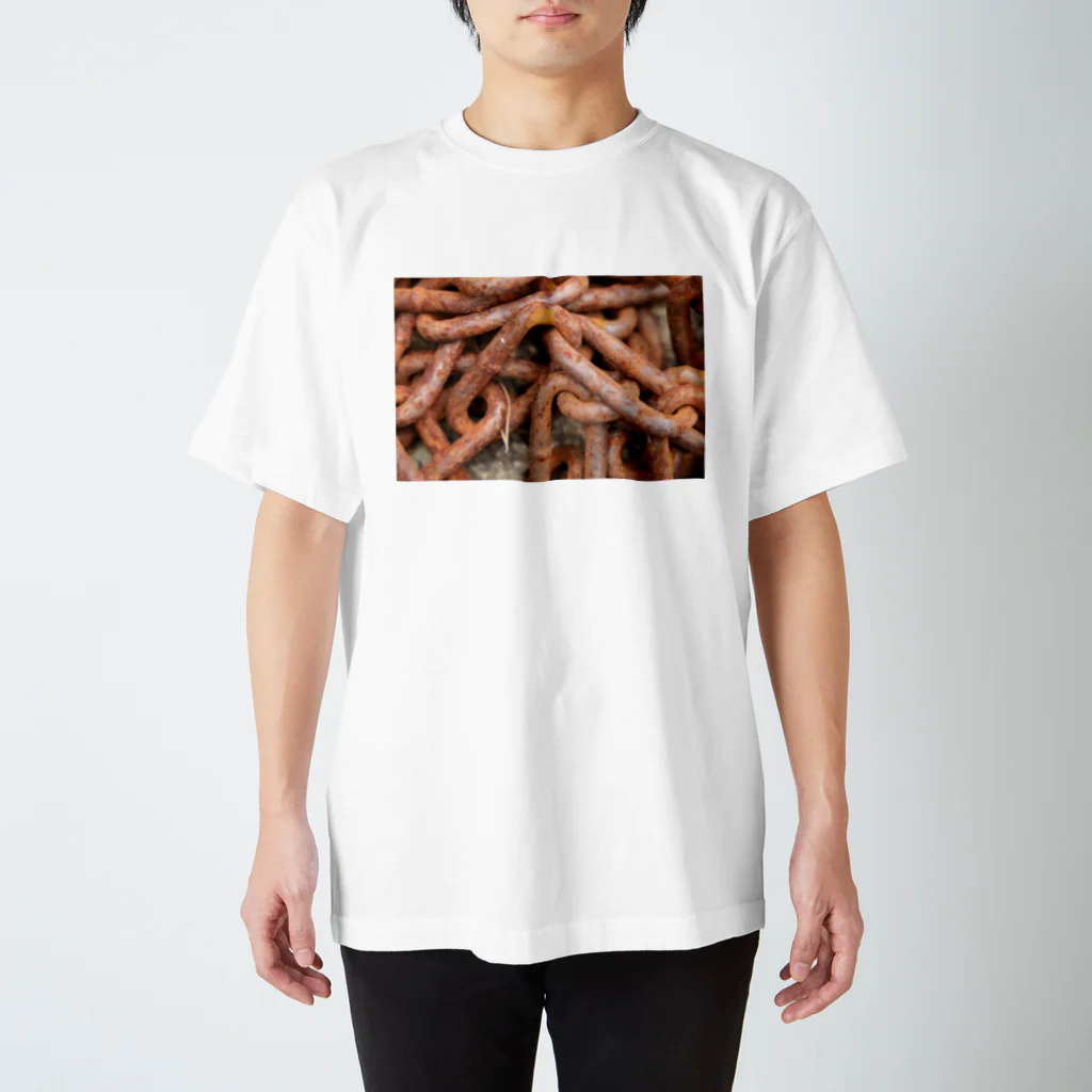 グラミーのさびた鎖の写真 スタンダードTシャツ