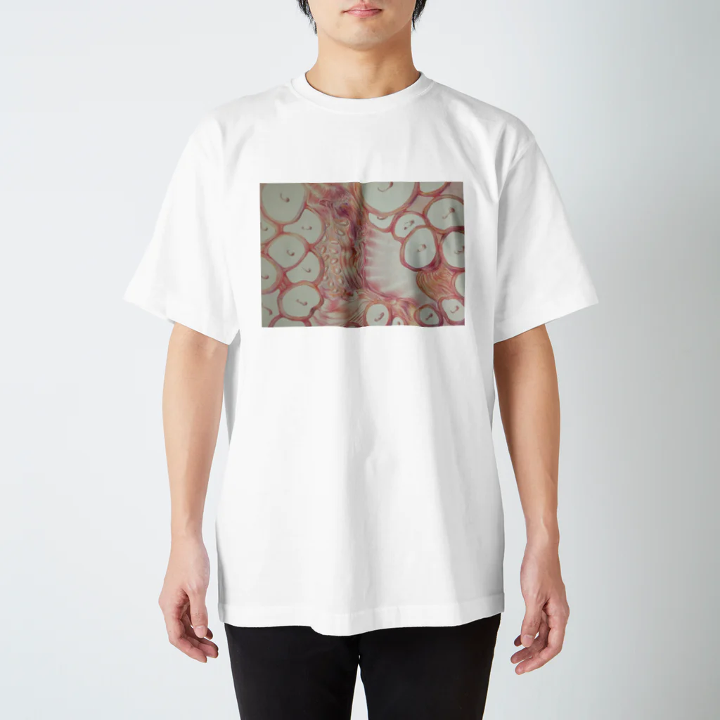 いろいろ色えんぴつのHot Octopus  Regular Fit T-Shirt