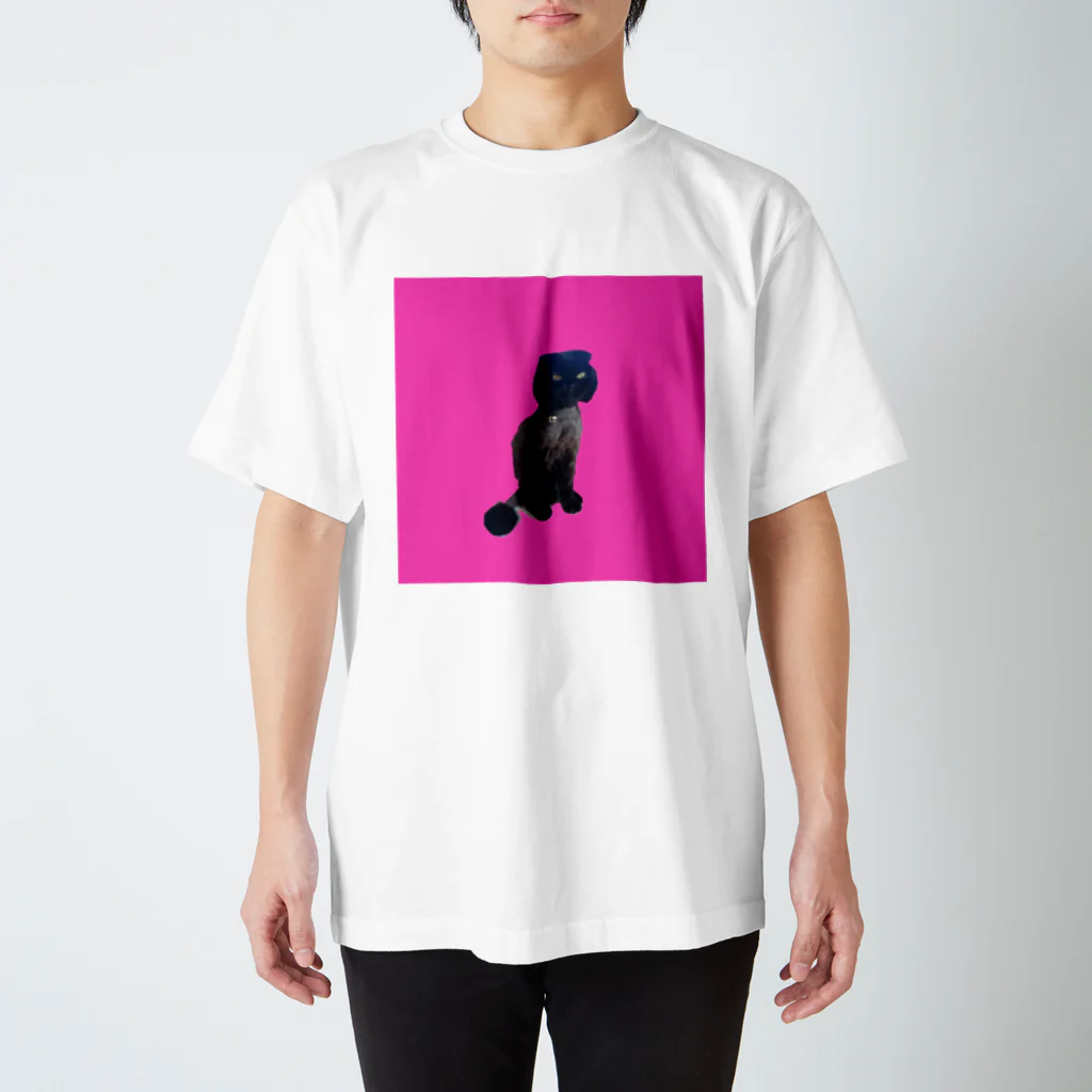 micaraの神の子ラニのパラダイスアイテム Regular Fit T-Shirt