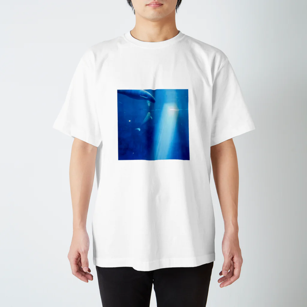 うさぎのSEA Regular Fit T-Shirt