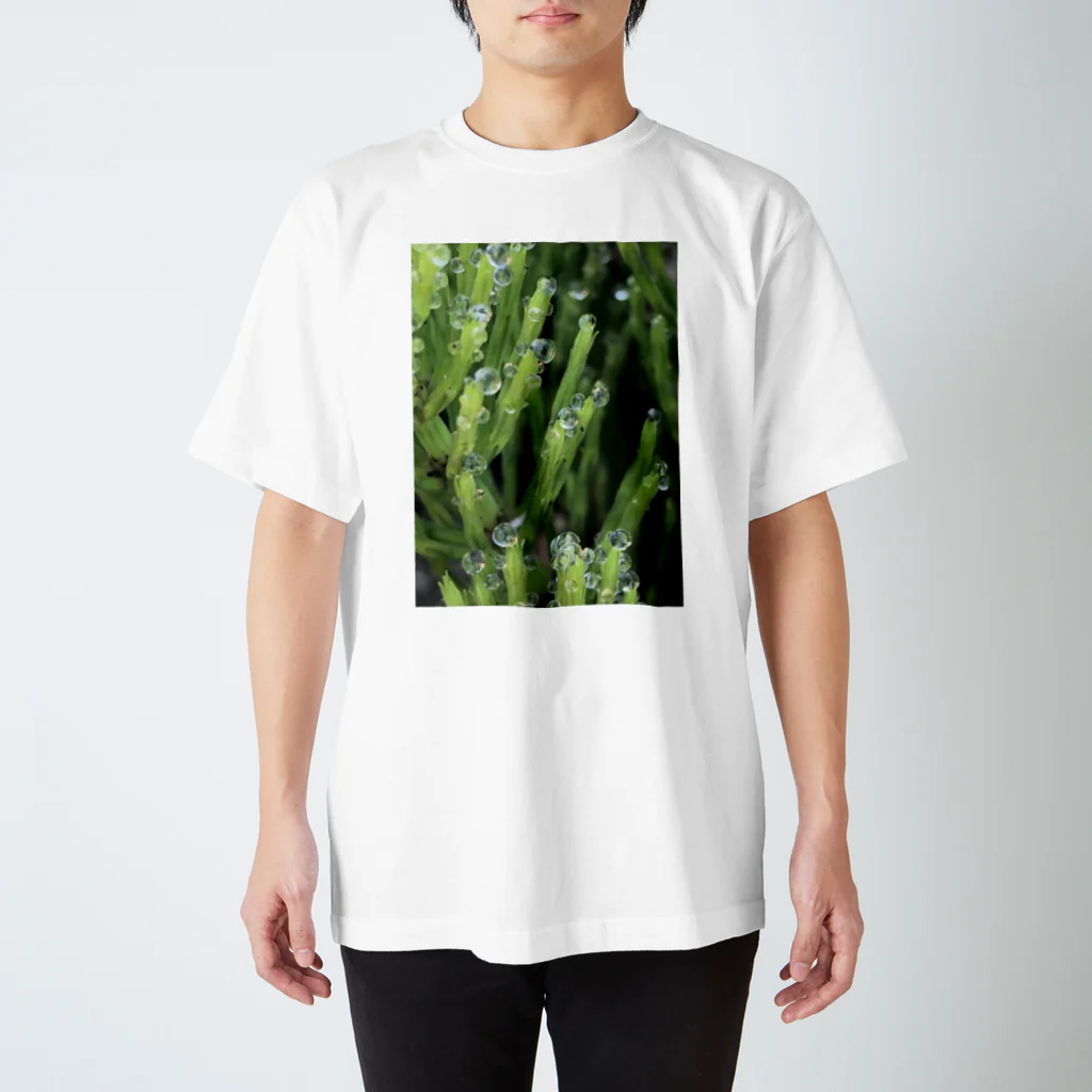 yuNN3のスギナ　水滴　写真 Regular Fit T-Shirt