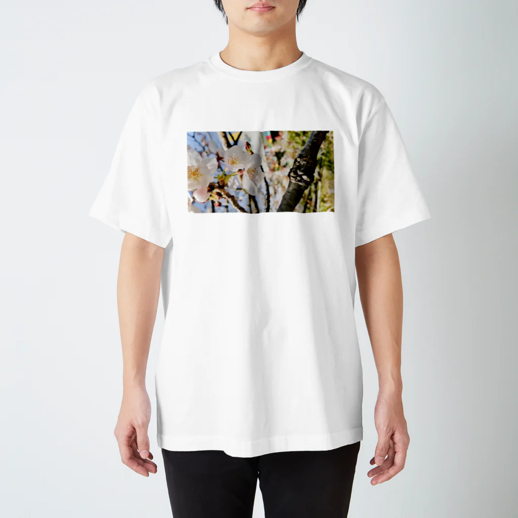 ちとの桜と枝 Regular Fit T-Shirt