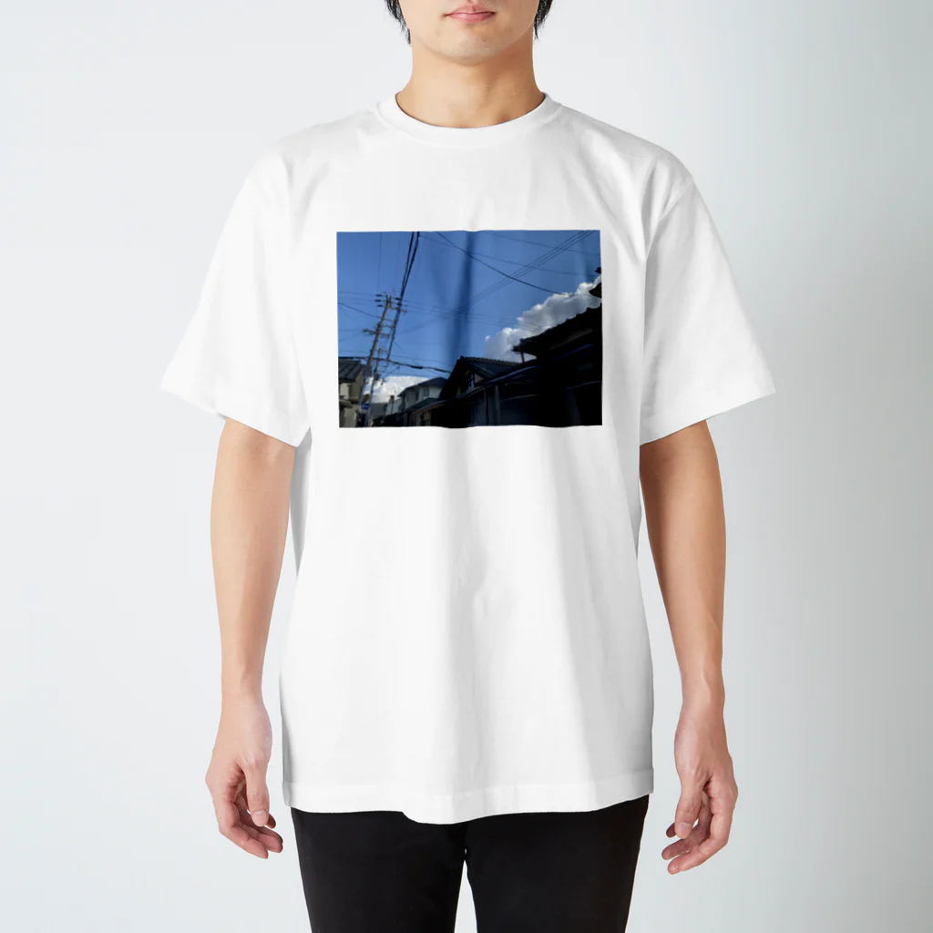 あおのりの郷のてんきのいいひ スタンダードTシャツ