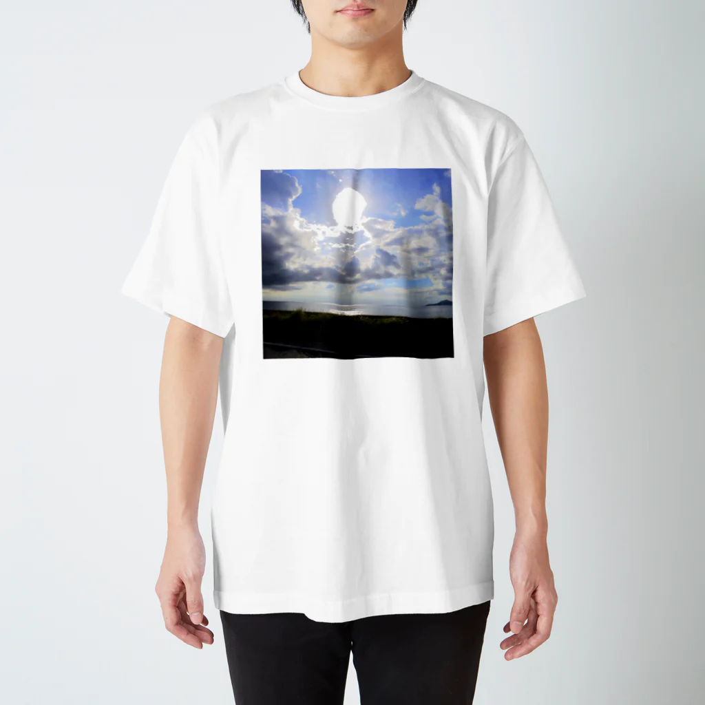 MAG3beagleの南国ocean スタンダードTシャツ