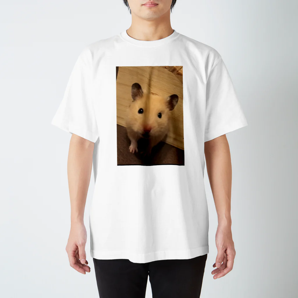 香色のハムスターのキンクマハムスター　香ちゃん スタンダードTシャツ