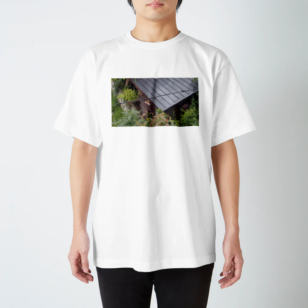 catphotosの雨宿りをする猫 Regular Fit T-Shirt