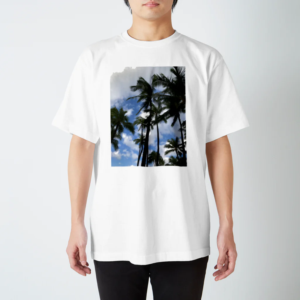 hulamomoの空 Regular Fit T-Shirt