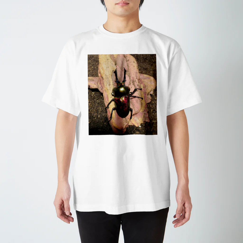 anemoneのクワガタ Regular Fit T-Shirt