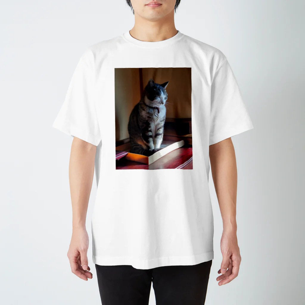 猫又雑貨店のおねむのアイカ姐さん Regular Fit T-Shirt